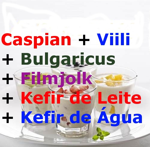 caspian viili bulgaricus filmjolk kefir de leite kefir de agua