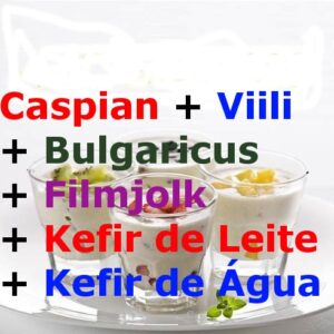 6 Probióticos – Kefir de Leite + Kefir de Água + Caspian + Viili + Bulgaricus + Filmjolk – com Frete Grátis